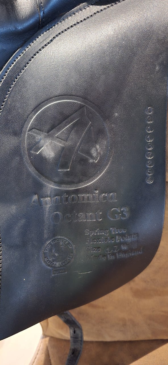 Anatomica Octant G3 treeclix