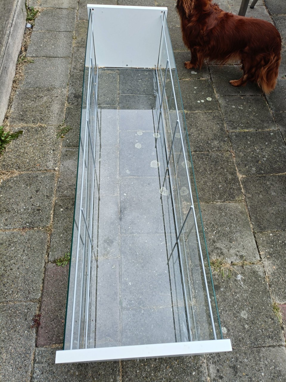 Grote glazen bak