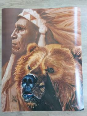 2 mooie grote posters