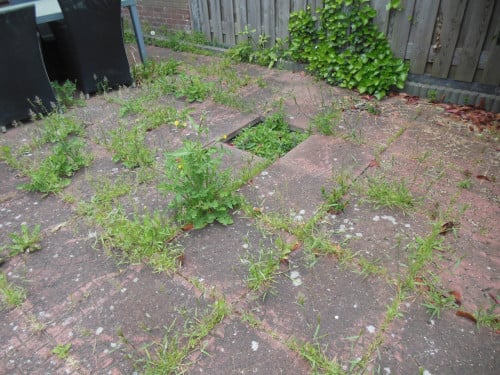 Uw tuin klaar voor de winter?