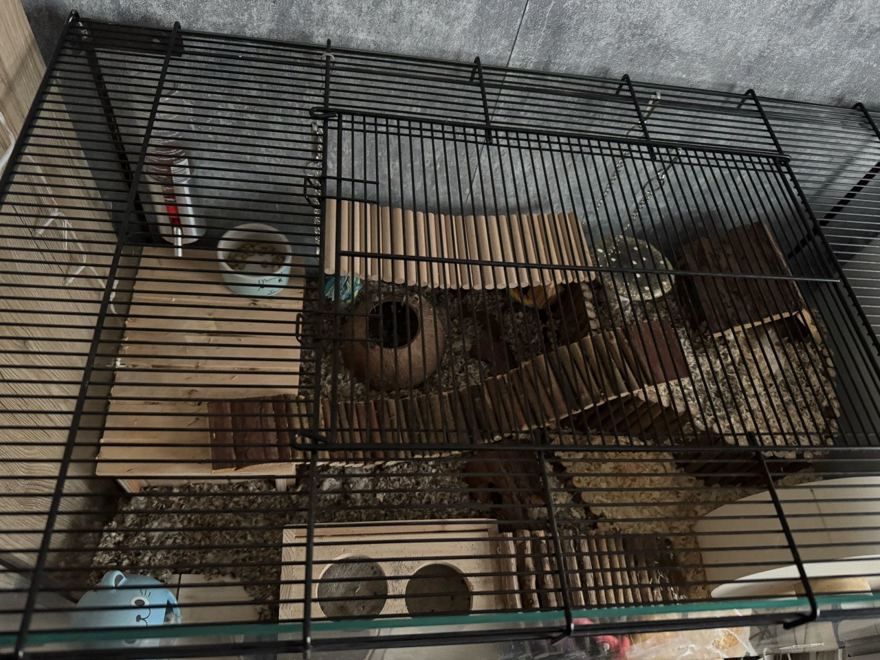 Hamster met hok