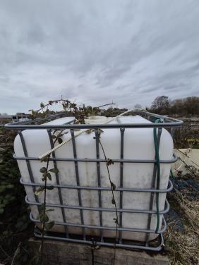 Watertank 1000 liter