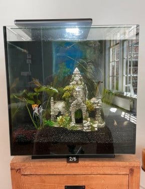 Superfish Qubiq 60 pro