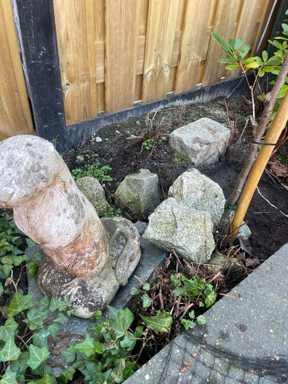 Vijver pomp planten