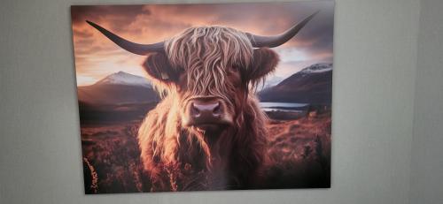 HD metal Schilderij