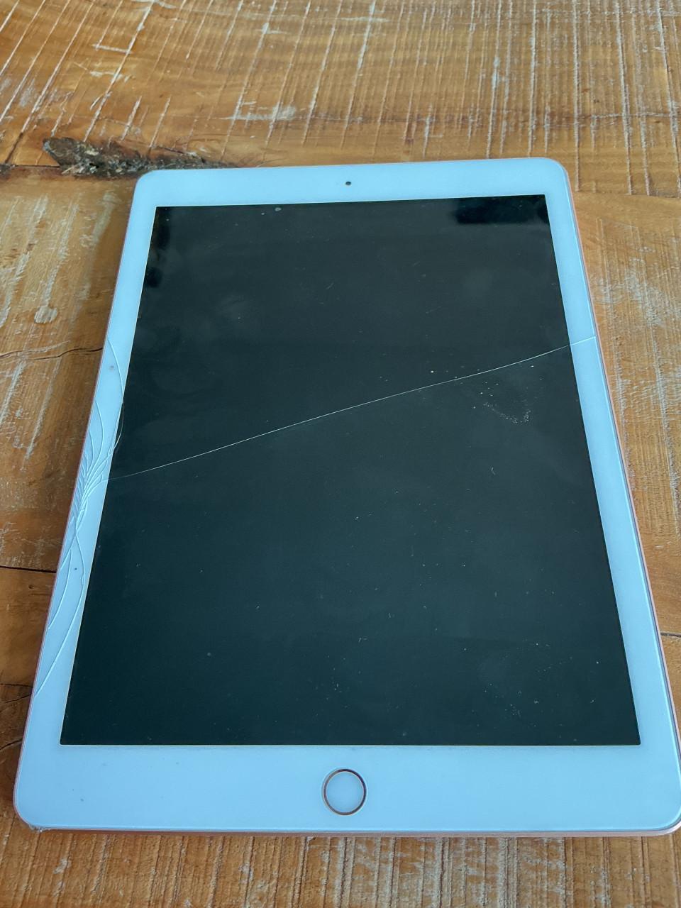 Apple iPad rosé gold (6e generatie) met lader 128 GB