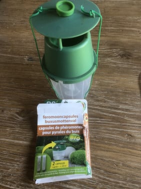 Buxusmottenval en capsule