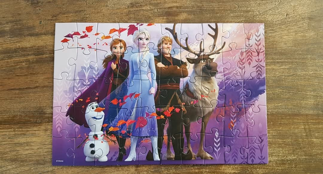 🎈Frozen Puzzel Magnetisch 50 stukjes.