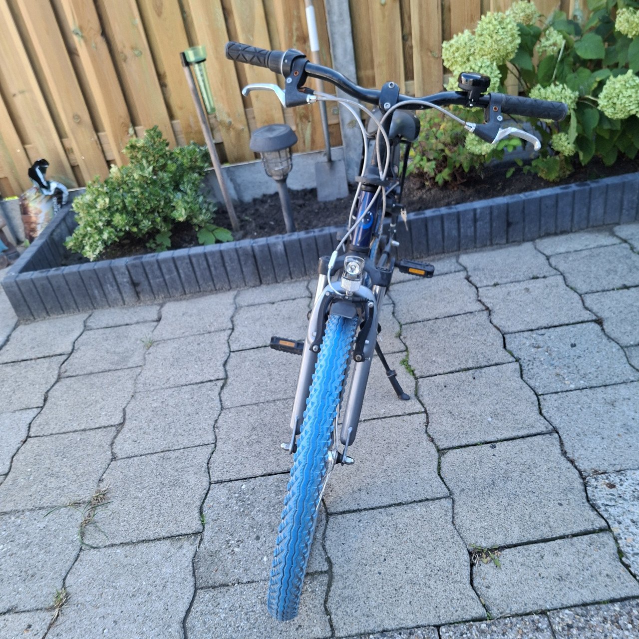 Batavus Snake 24 inch