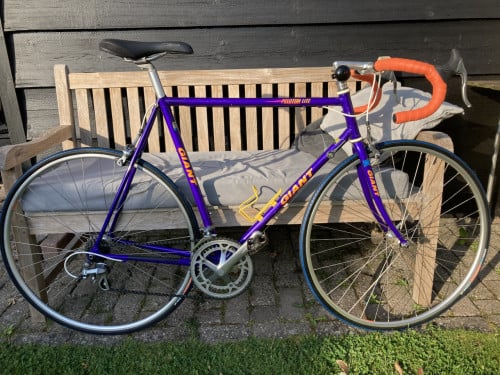 Giant Peleton Lite