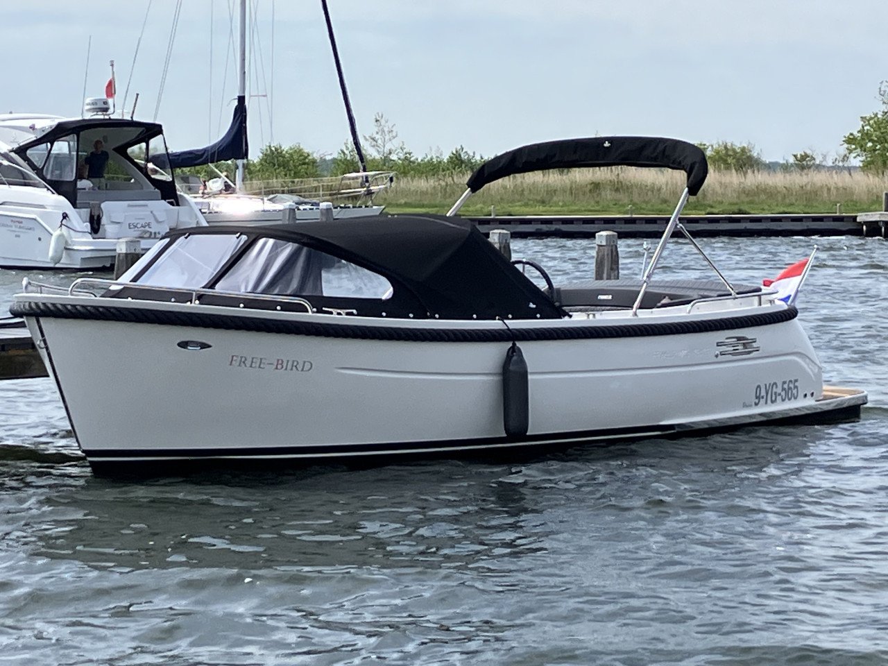Hagelnieuwe Primeur 715 Tender met Honda 100Pk (2024)