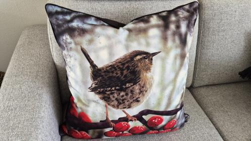 Sierkussen 55/55 groot