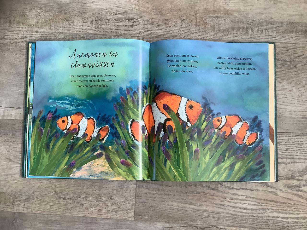 Z.g.a.n. Boek: Zo mooi zijn Dieren