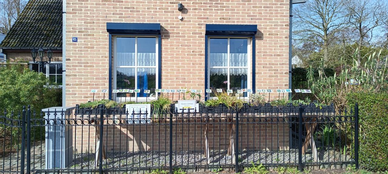 Up-date plantenkraampje, mooie bijen,- en vlinderplanten voor €1,25 p/st.