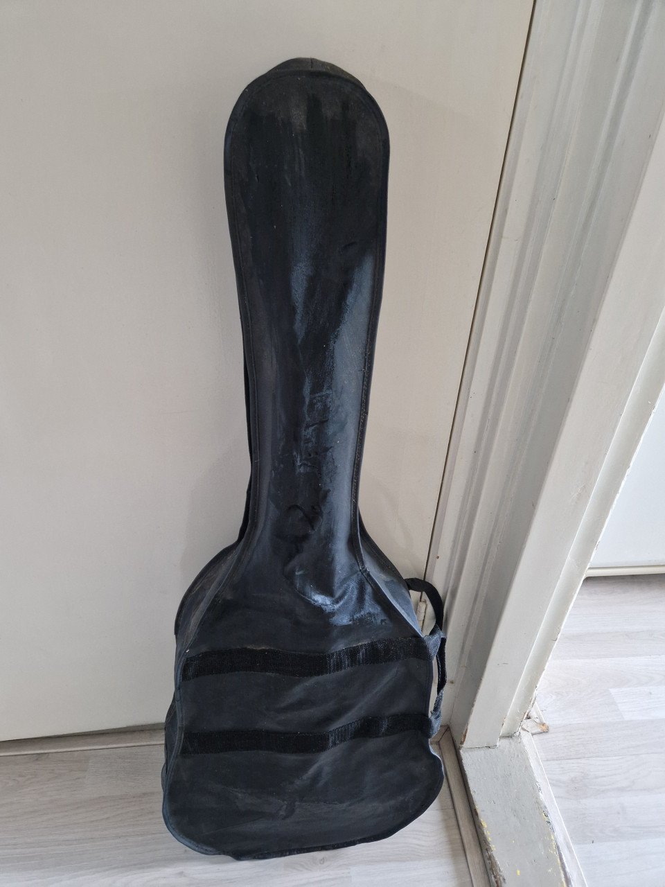 Gitaar in tas