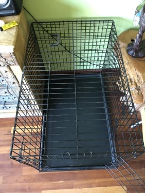 Bench voor hond of pup