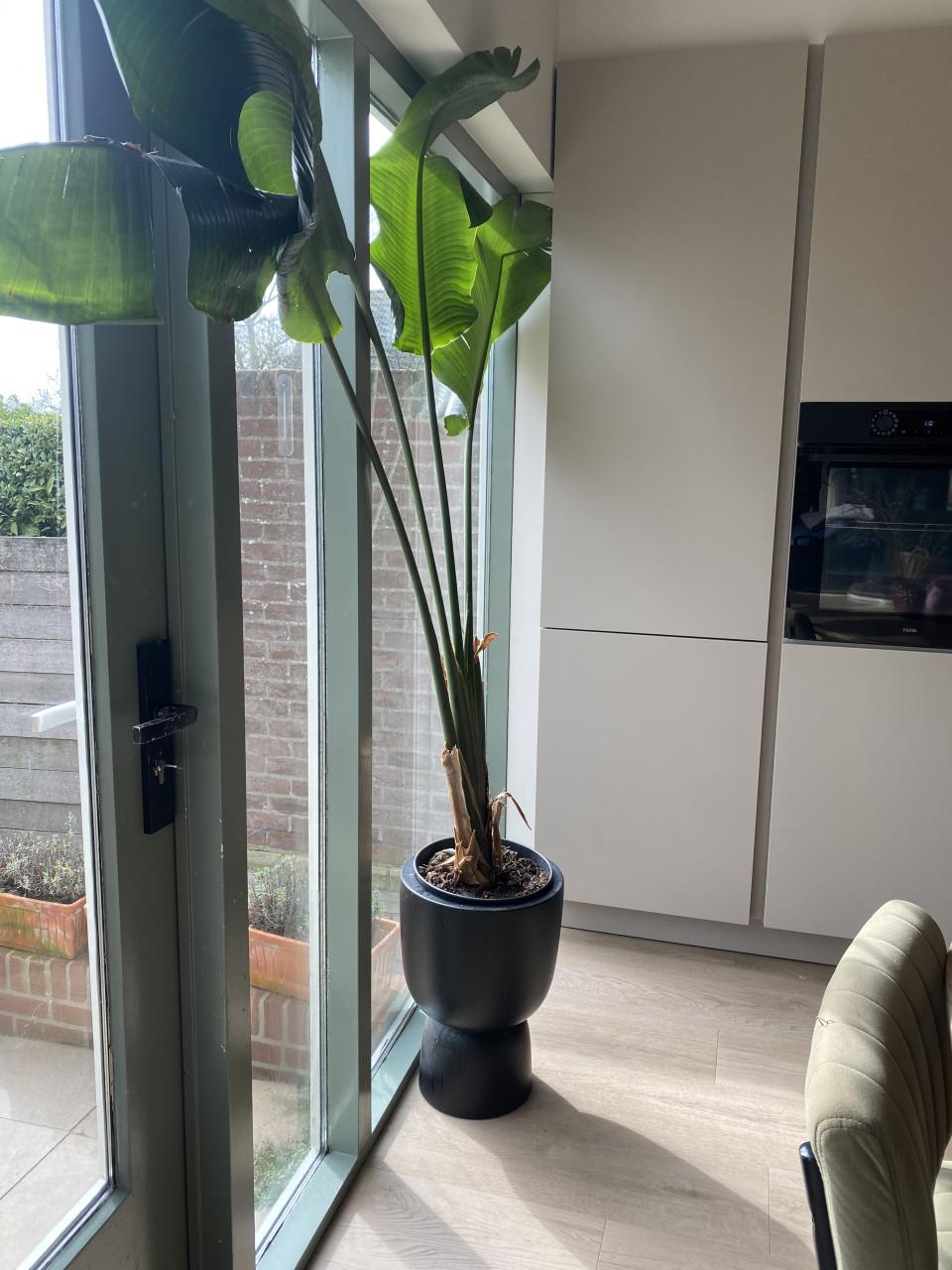 3 Elho binnen en buiten plantenpot