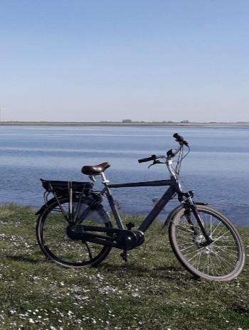 Elektrische herenfiets maat 57 FORZA fredo