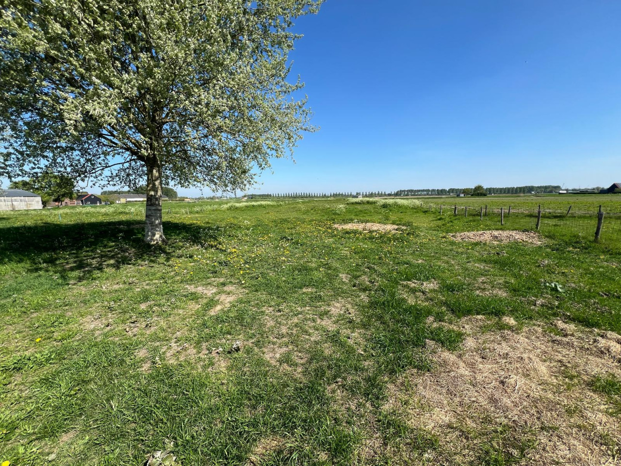 Grasland te koop, min. 4500 max. 10,000 M2 (zelf te kiezen)