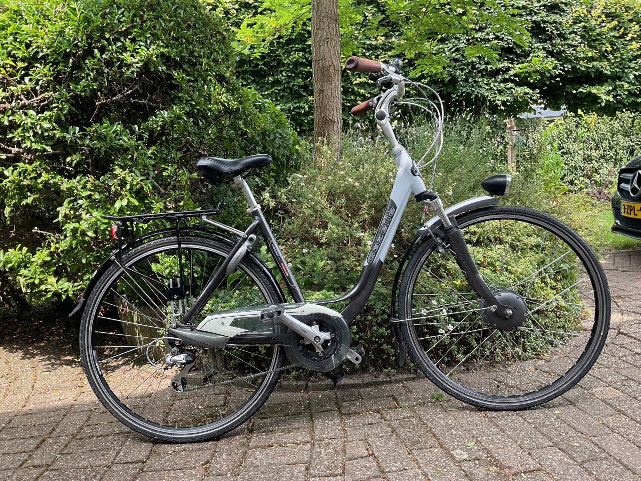 Gazelle Medeo