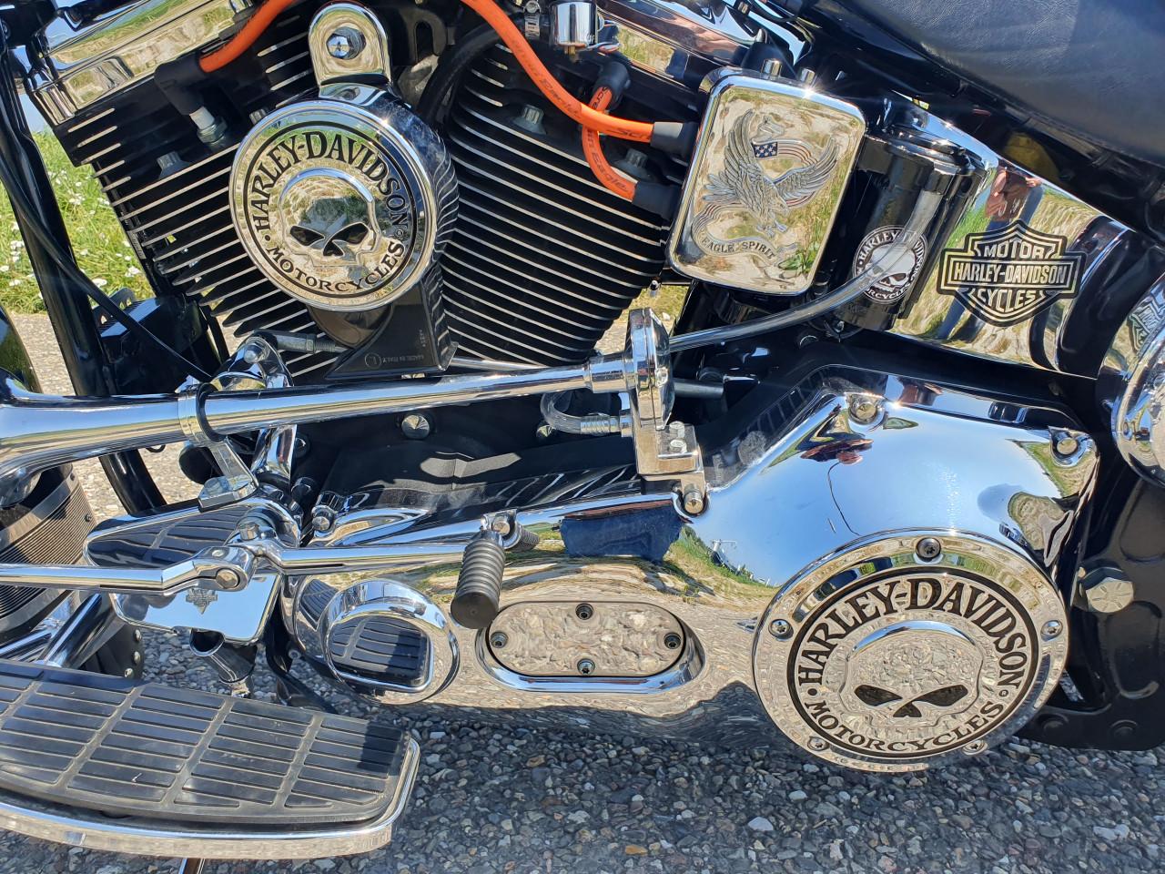 Harley- Davidson