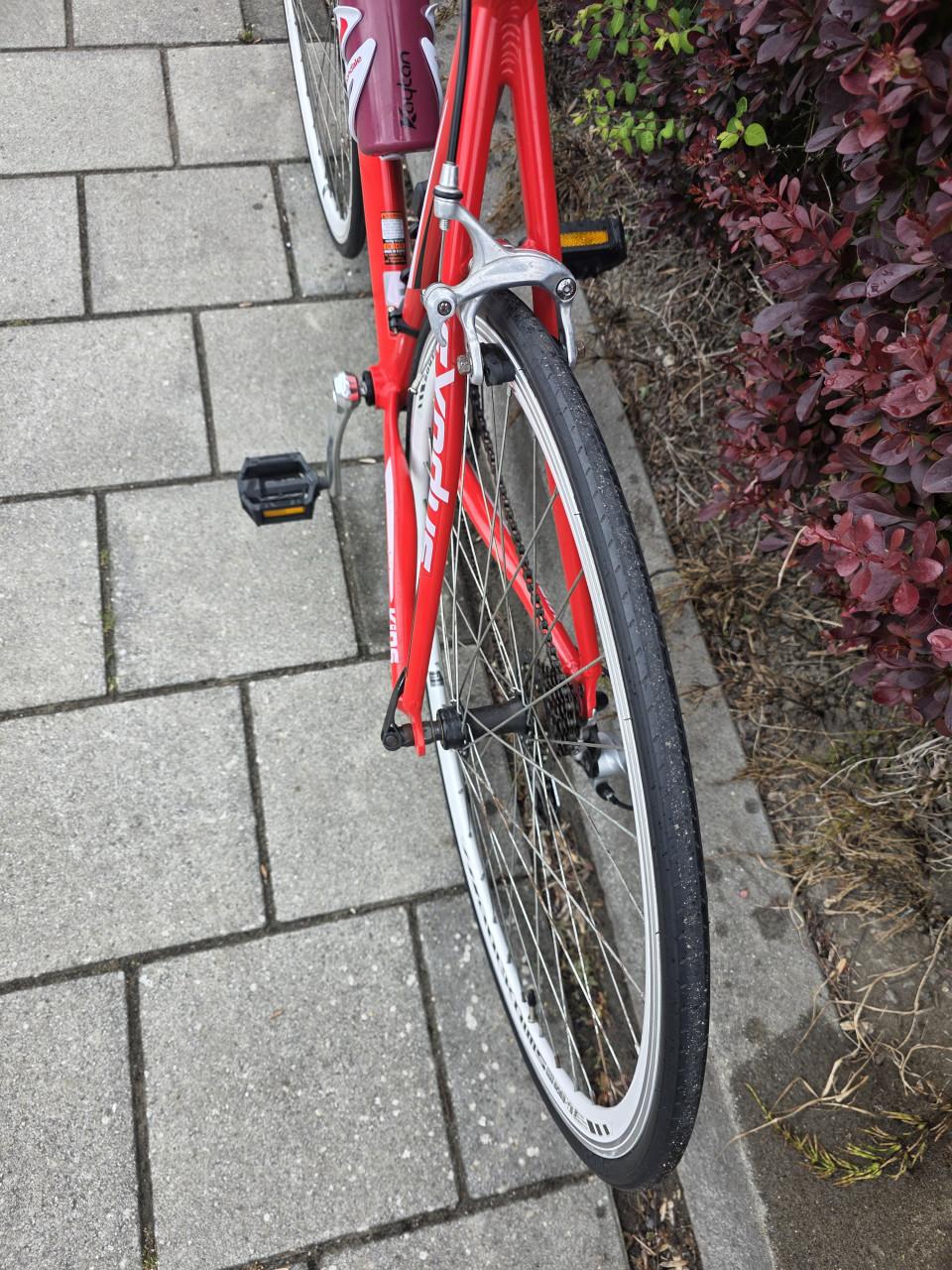 RACEFIETS | EXODUS | 28 INCH | FRAME 56 CM | 2X7 V