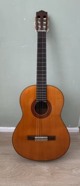 Gitaar