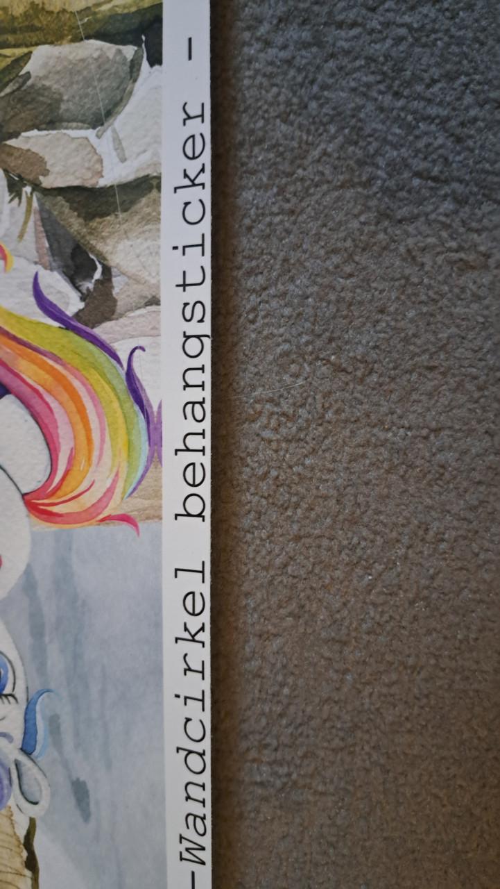 Behangcirkel NIEUW ( 2x )