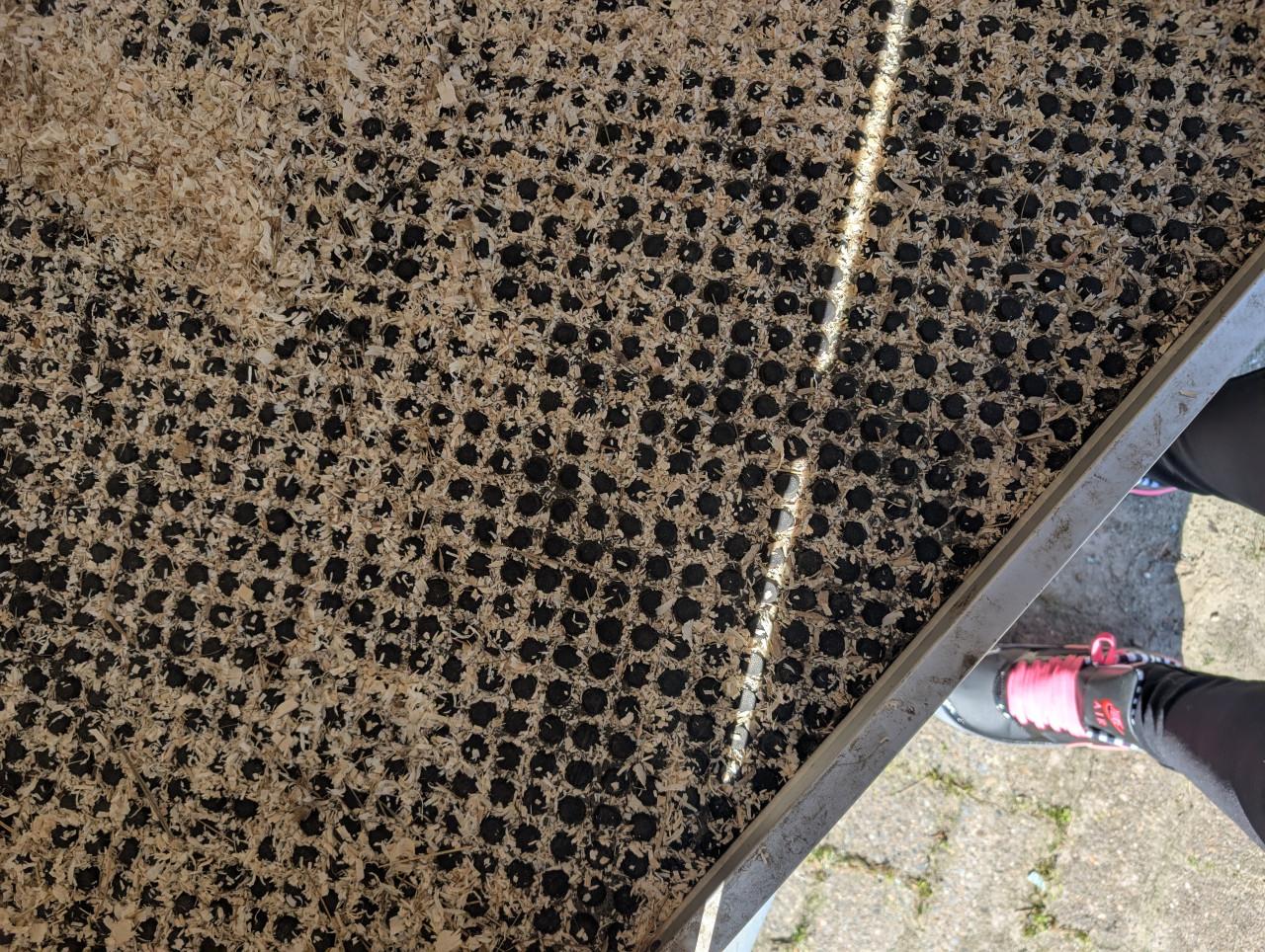 1,5 paardentrailer Waco dit weekend ophalen €1000