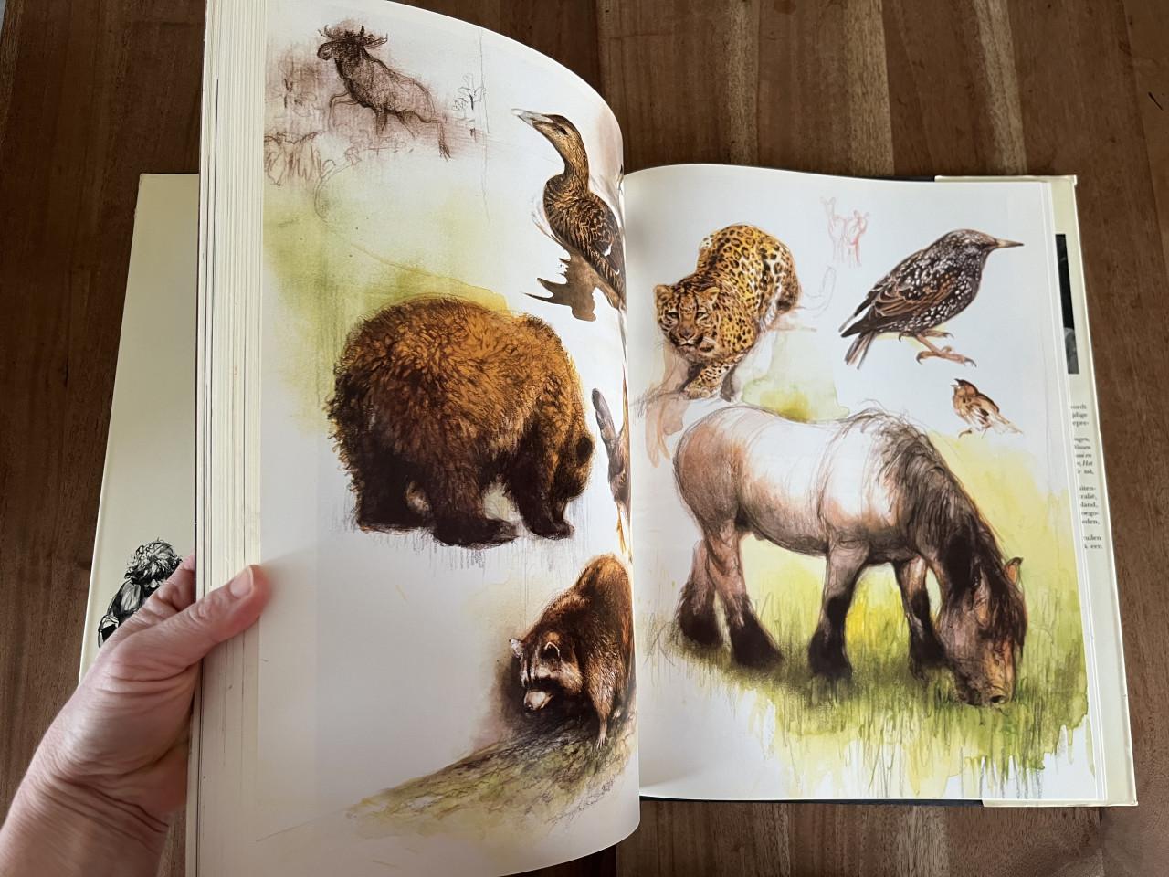 Rien Poortvliet boeken