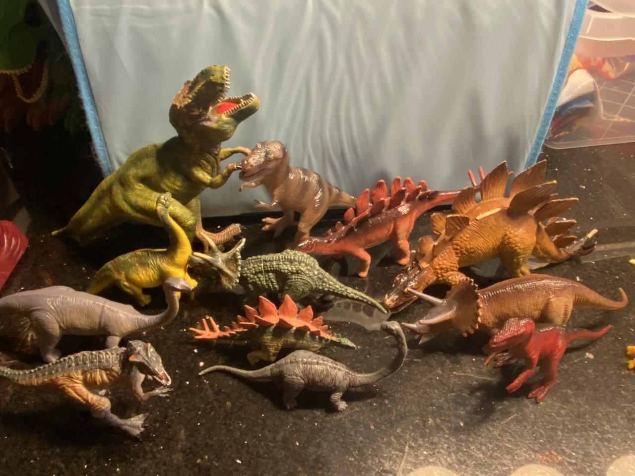 Dinosaurus incl opberg en speelkleed