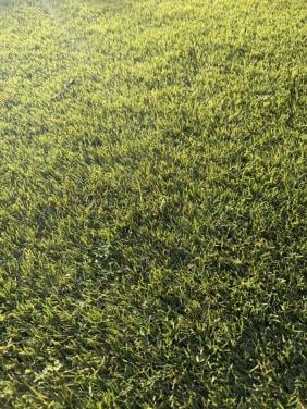 Diverse stukken/stroken hoogwaardig kunstgras