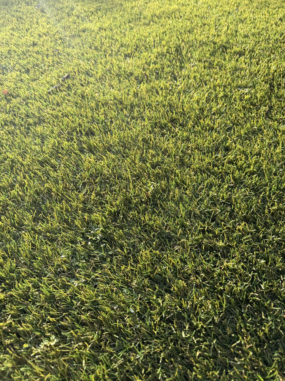 Diverse stukken/stroken hoogwaardig kunstgras