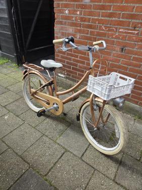 Meisjes fiets