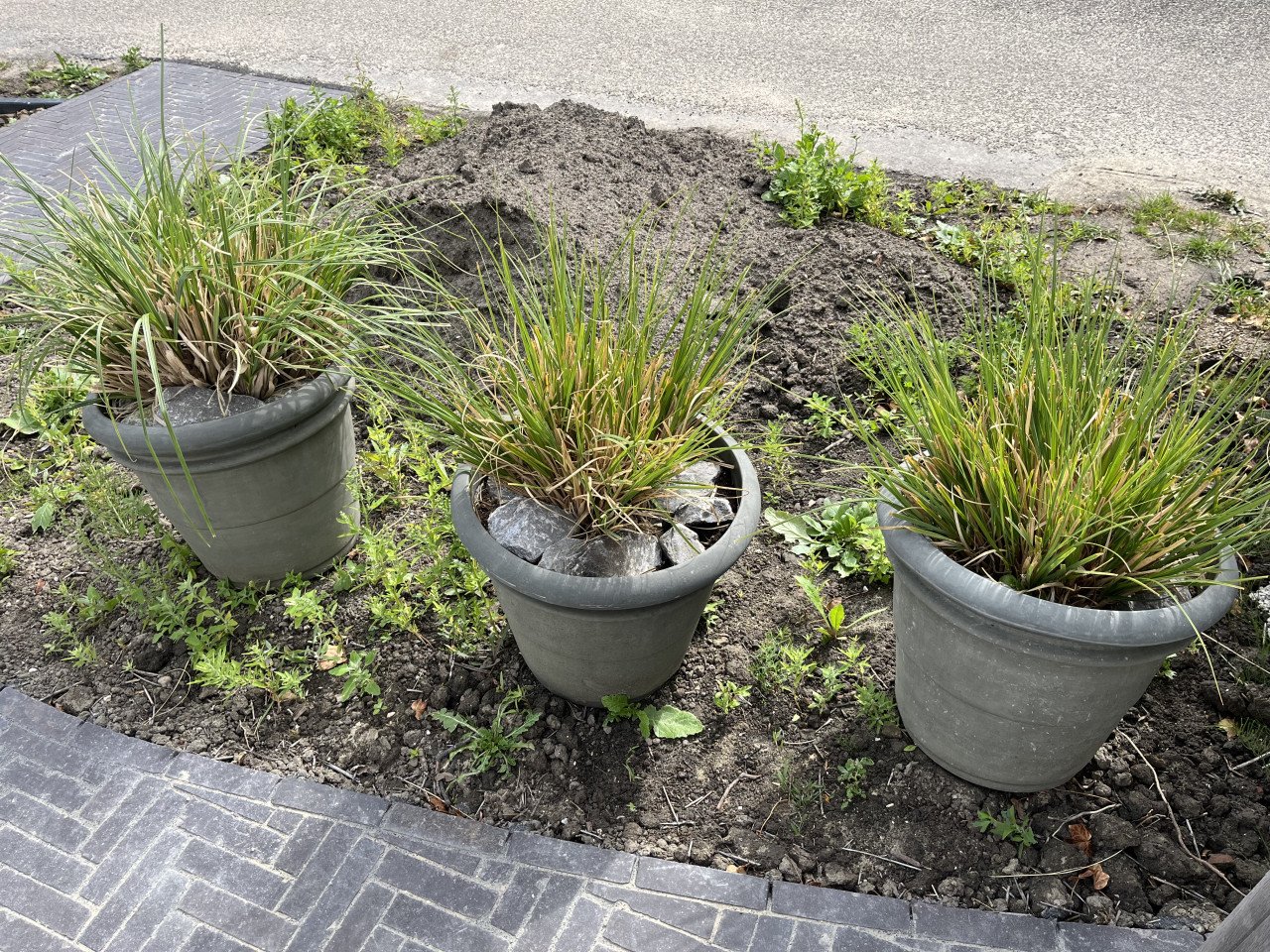 3 polyester bloempotten met pampasgras