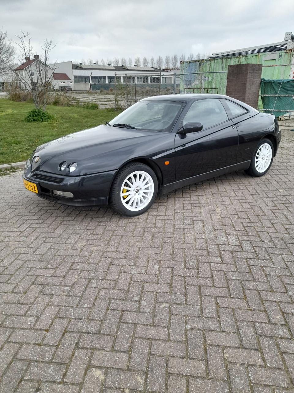 Alfa romeo gtv