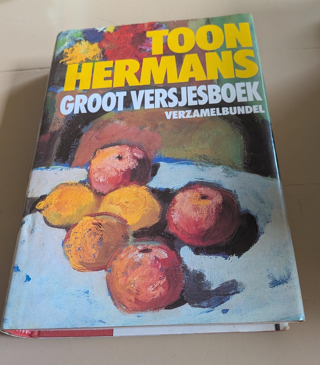 Groot versjes boek Toon Hermans