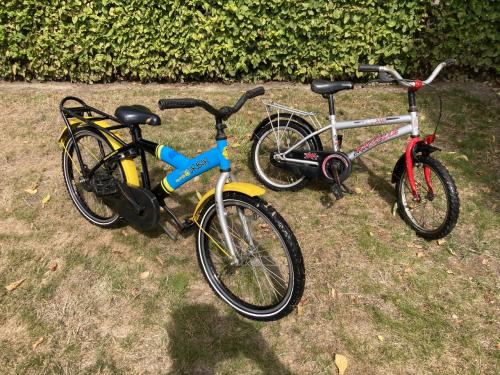 Opknap kinderfietsen 16+20 inch