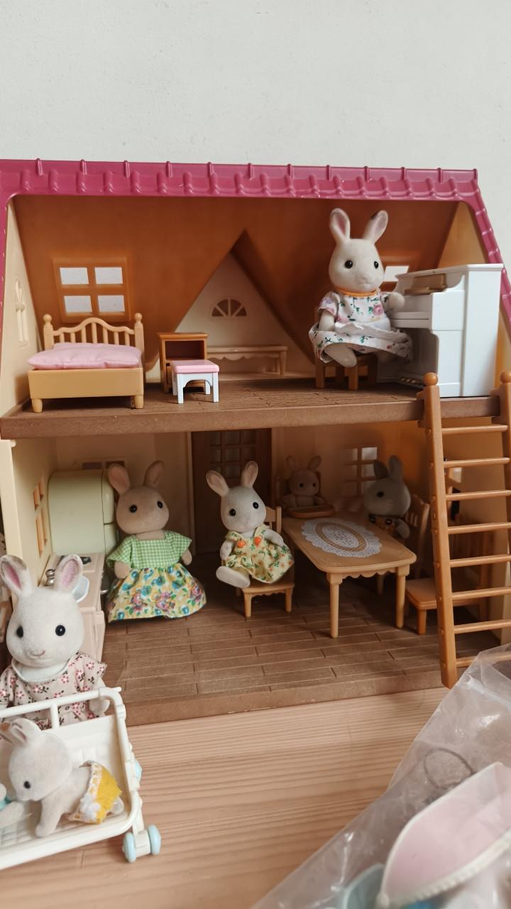 Grote set Sylvanian Families