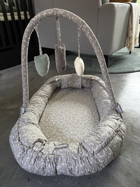 Babynestje