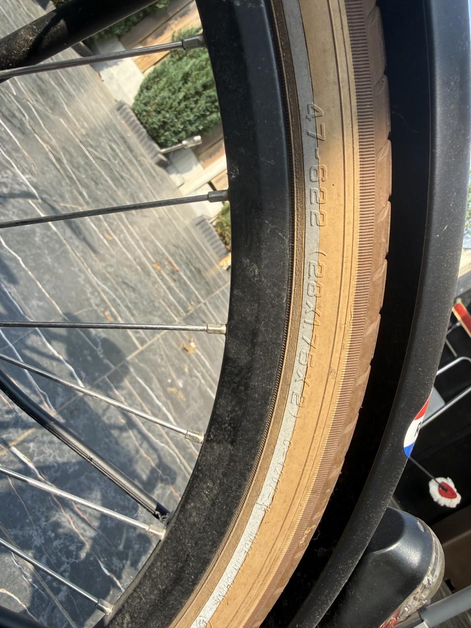 Cortina Herenfiets maat 50 3 versnellingen