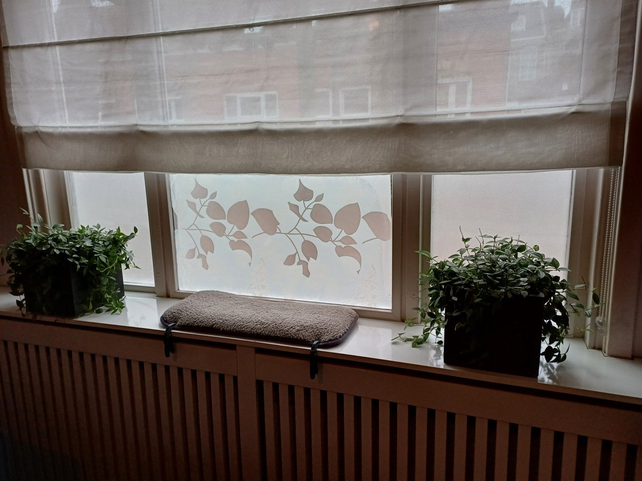 NIEUW: RAAMFOLIE dessin, statische hechting + herbruikbaar
