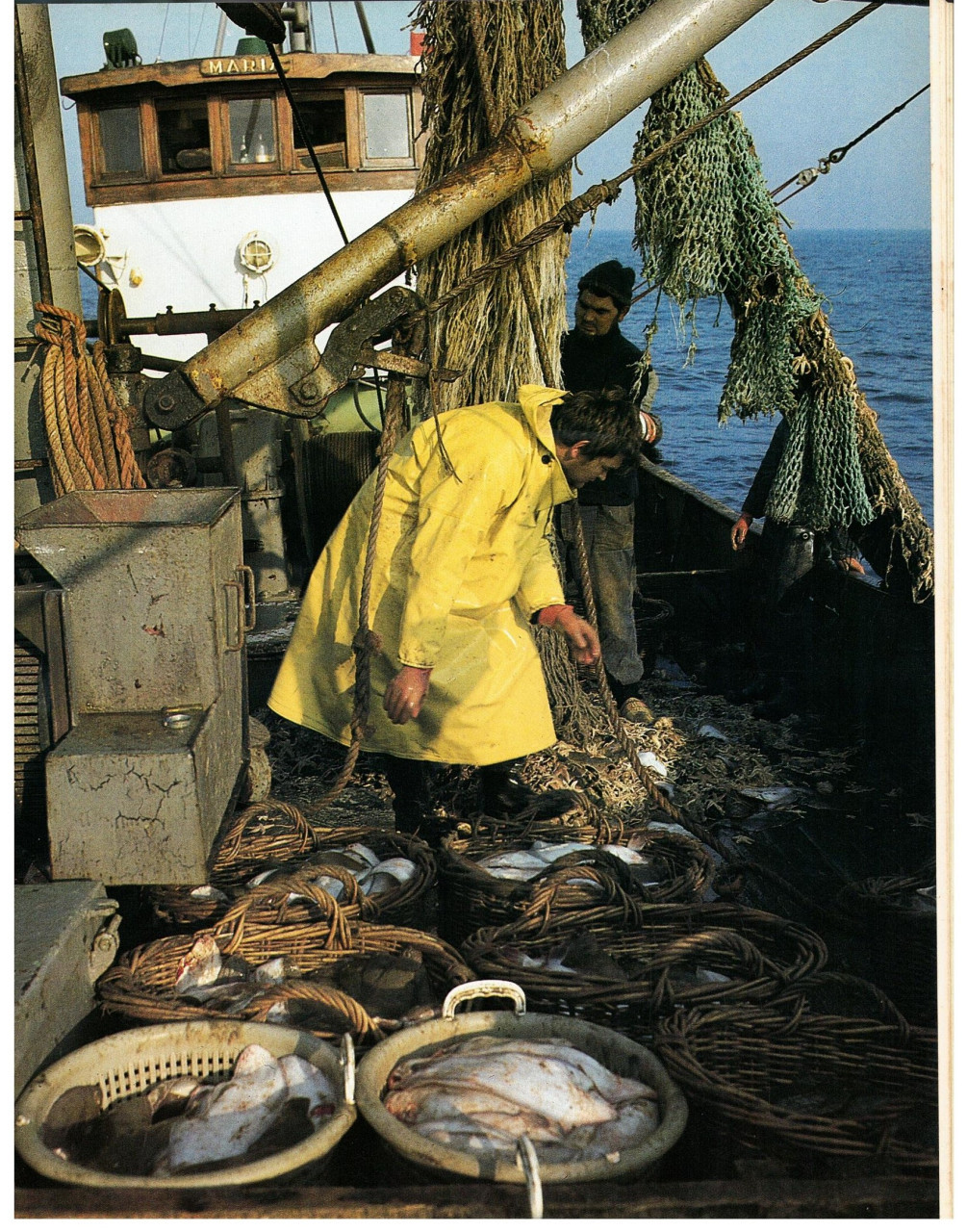 Het zilver van de zee. Zeevisserij