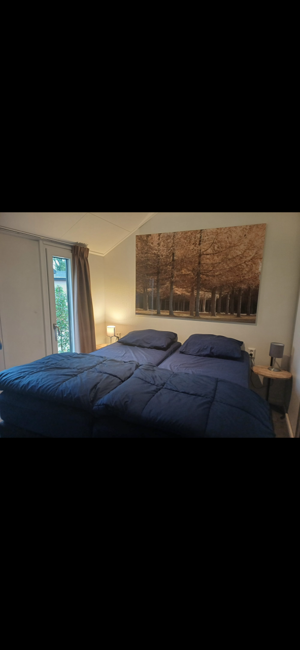 4 persoons Chalet te koop lieren Veluwe