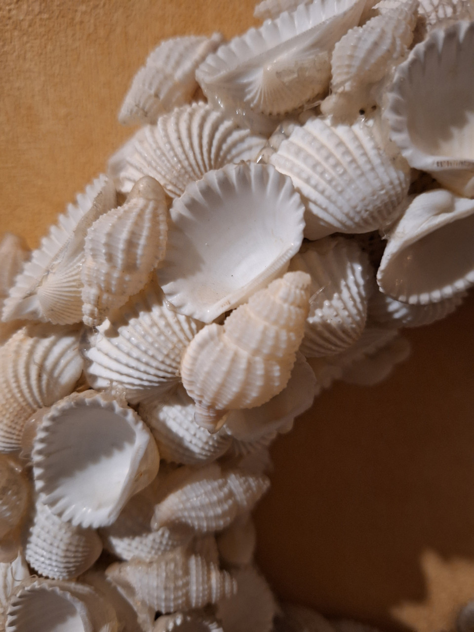 Decoratie met schelpen