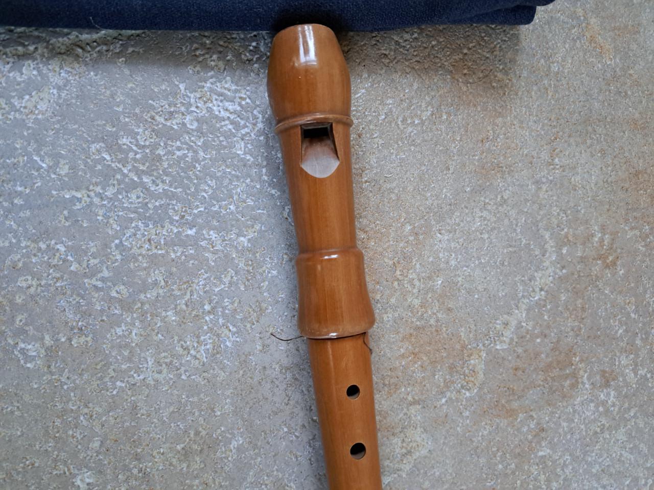 2 Z.G.A.N. SOPRAAN BLOKFLUITEN AURA EN ZAMIR