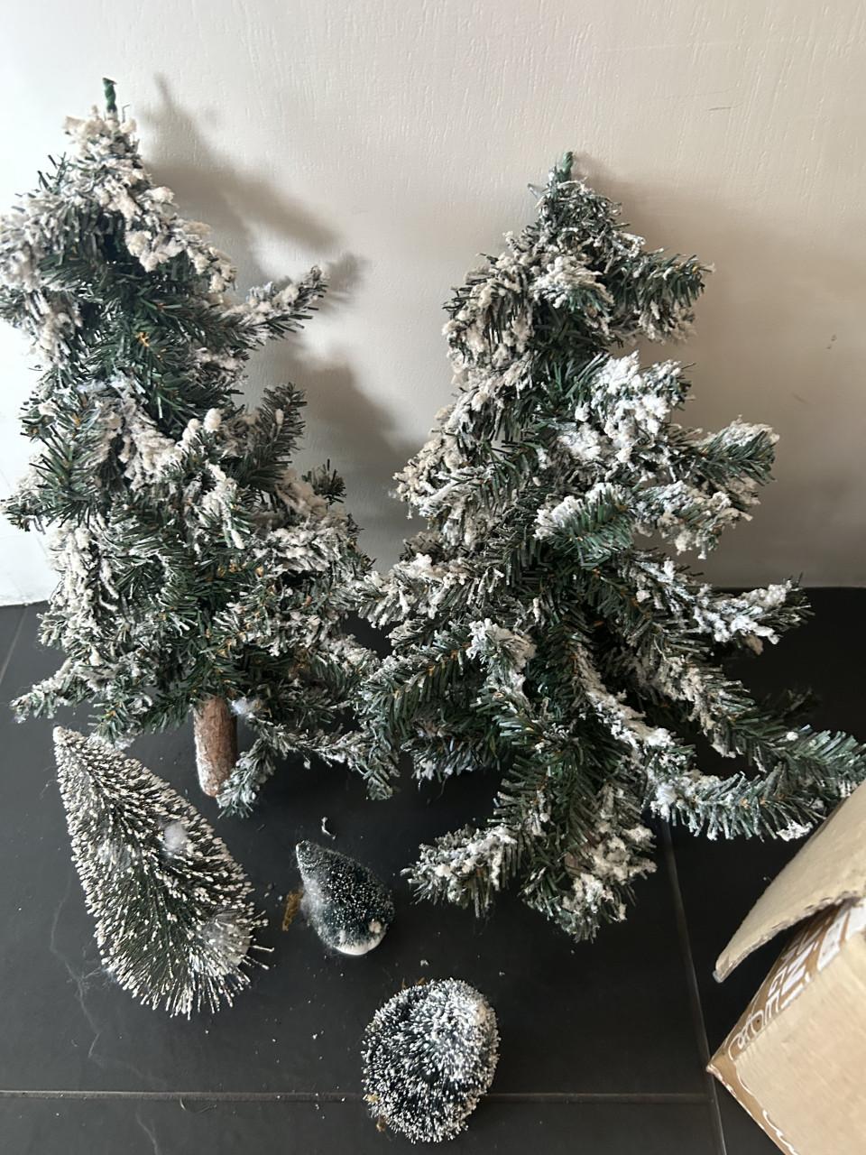 (Kerst) boompjes  doos vol
