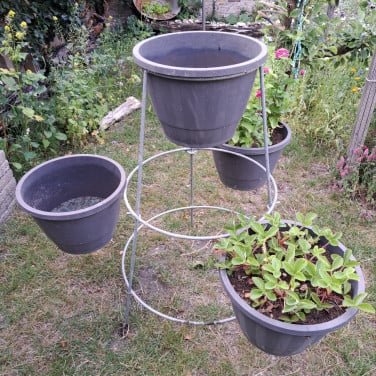 Planten zuil rek ding