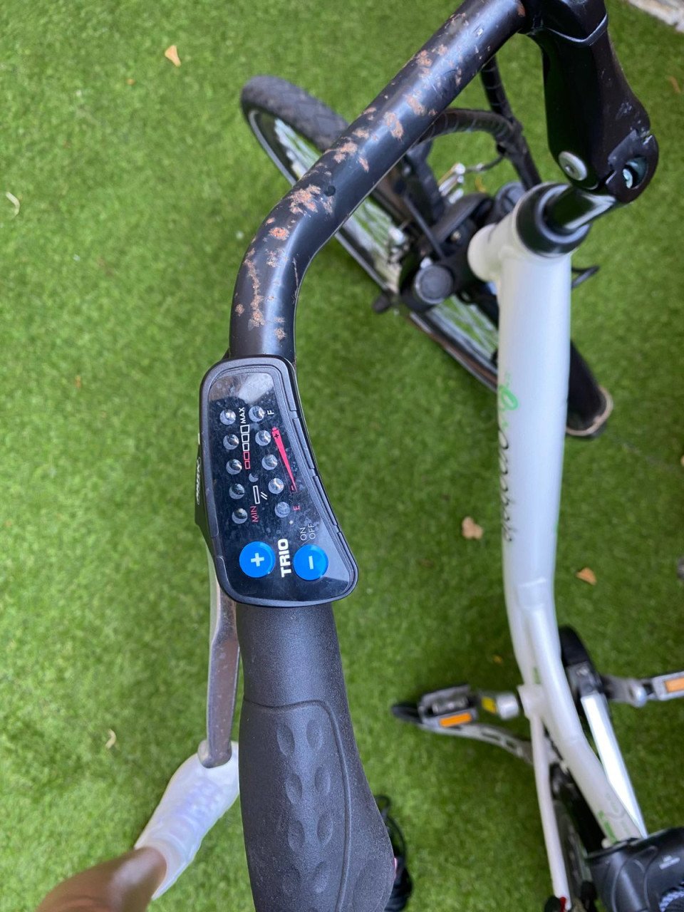 Elektrische damesfiets