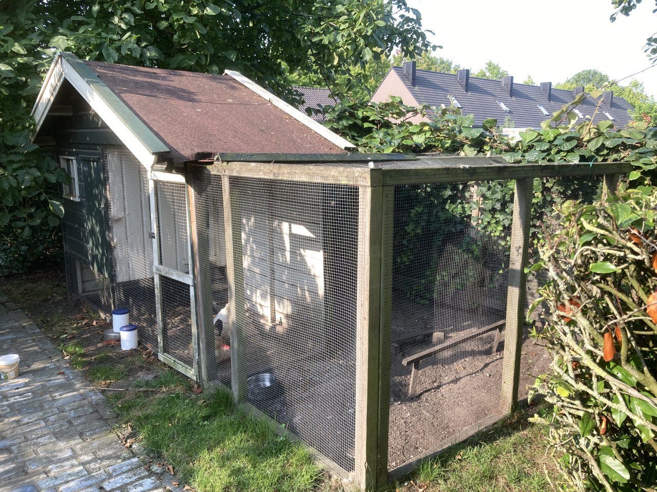 GRATIS kippen en kippenhok
